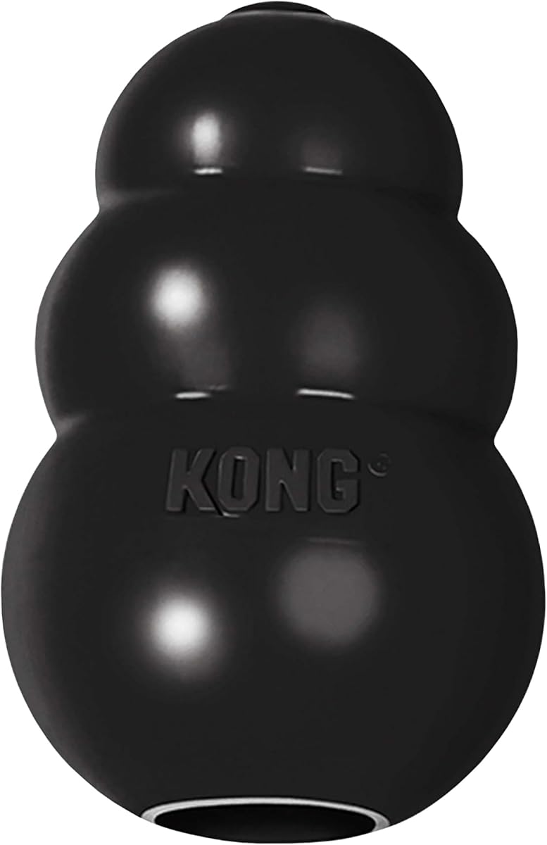 KONG Classic Dog Toy