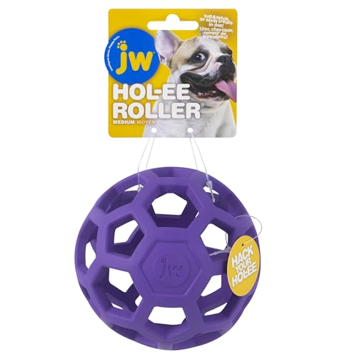 JW Pet Hol-ee Roller Dog Toy